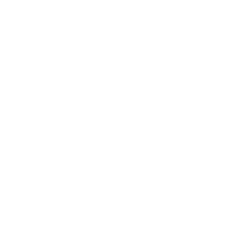 FC Vision